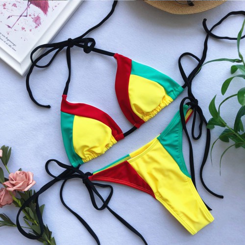 Dámská móda a doplňky - Dámské dvoudílné plavky Color